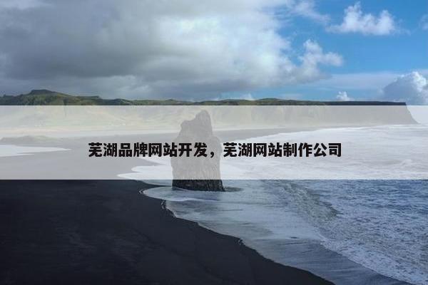 芜湖品牌网站开发，芜湖网站制作公司