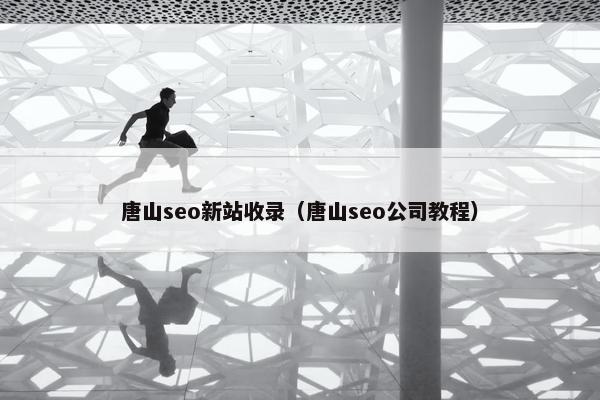 唐山seo新站收录（唐山seo公司教程）
