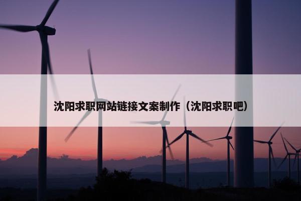 沈阳求职网站链接文案制作（沈阳求职吧）