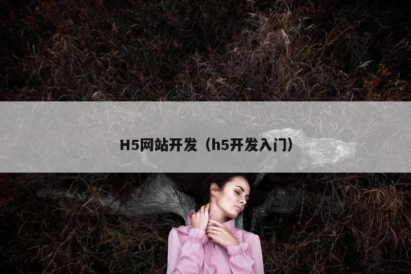 H5网站开发（h5开发入门）