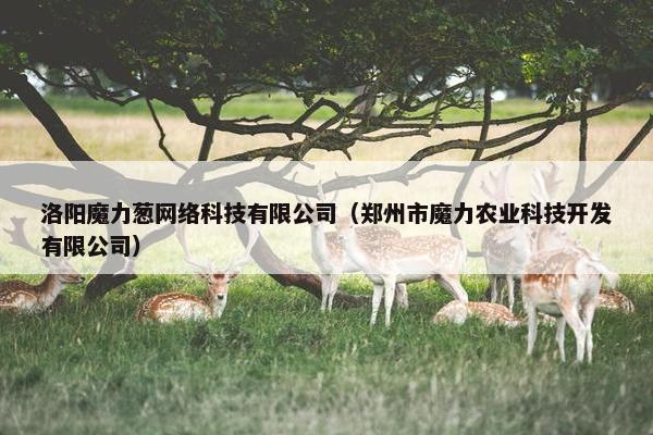 洛阳魔力葱网络科技有限公司（郑州市魔力农业科技开发有限公司）