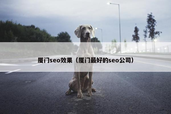厦门seo效果（厦门最好的seo公司）