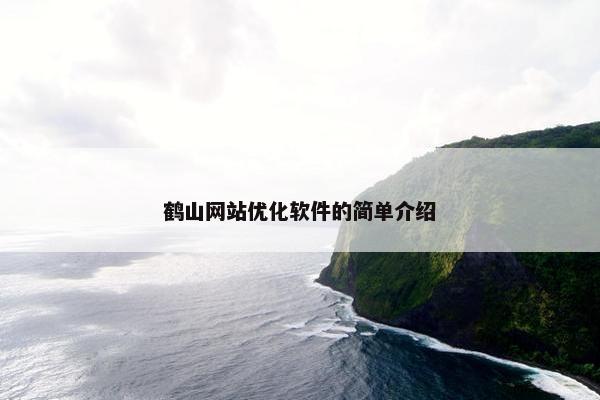 鹤山网站优化软件的简单介绍