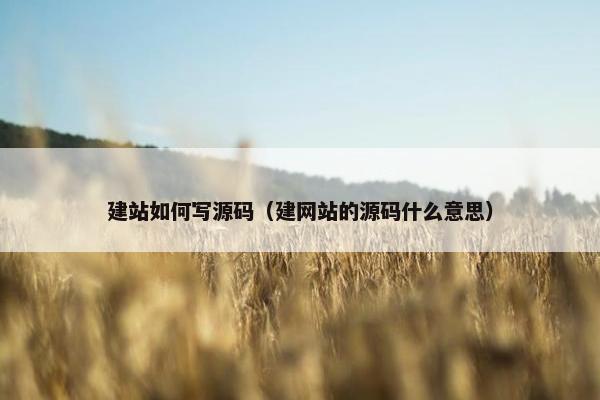 建站如何写源码（建网站的源码什么意思）
