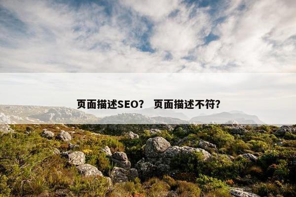 页面描述SEO？ 页面描述不符？