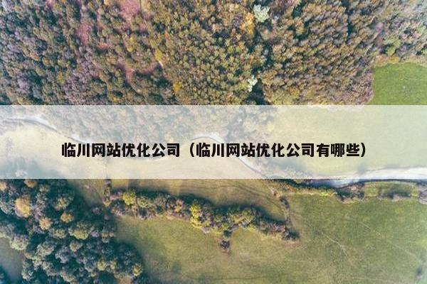 临川网站优化公司（临川网站优化公司有哪些）
