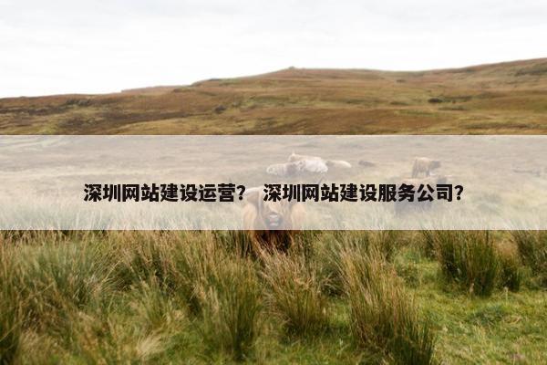 深圳网站建设运营？ 深圳网站建设服务公司？