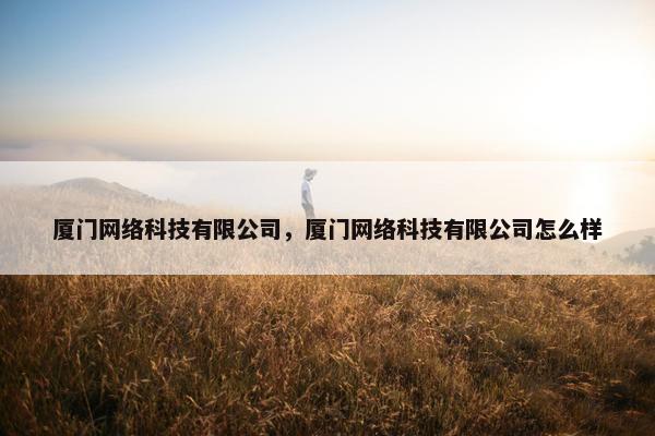 厦门网络科技有限公司，厦门网络科技有限公司怎么样