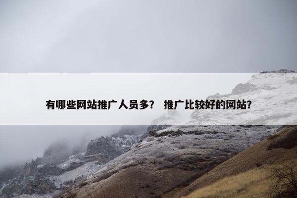 有哪些网站推广人员多？ 推广比较好的网站？