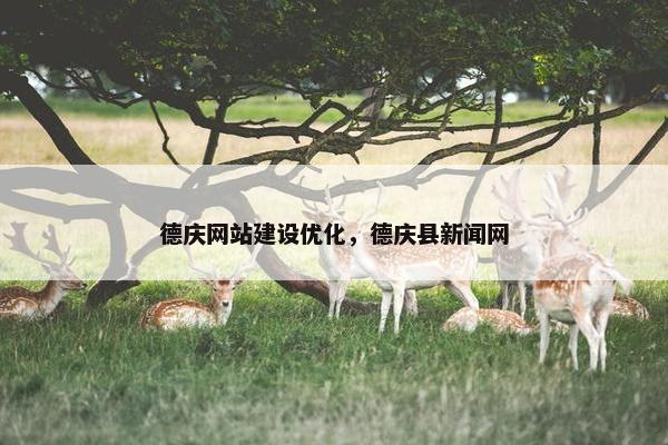 德庆网站建设优化，德庆县新闻网