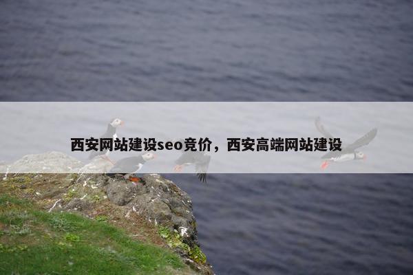 西安网站建设seo竞价，西安高端网站建设