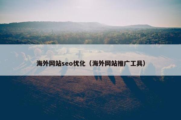 海外网站seo优化（海外网站推广工具）