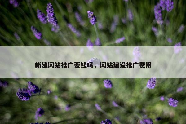 新建网站推广要钱吗，网站建设推广费用