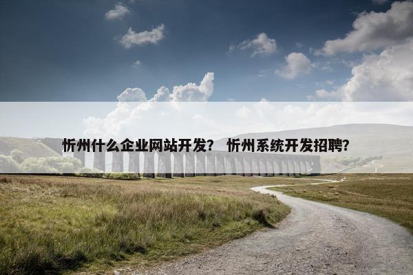 忻州什么企业网站开发？ 忻州系统开发招聘？