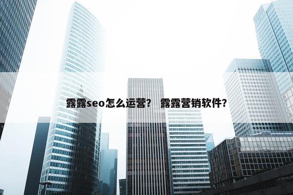露露seo怎么运营？ 露露营销软件？