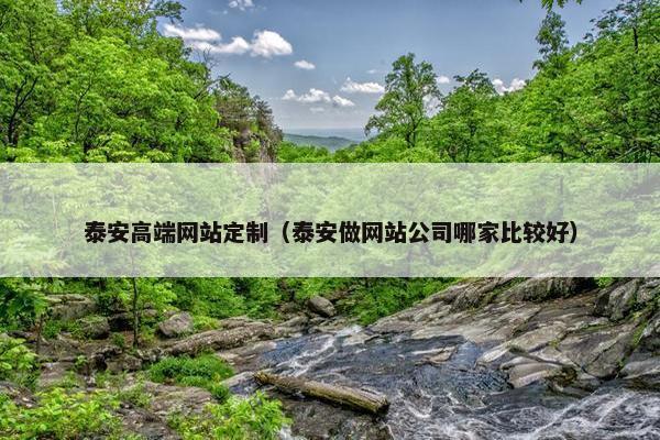 泰安高端网站定制（泰安做网站公司哪家比较好）
