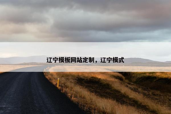 辽宁模板网站定制，辽宁模式