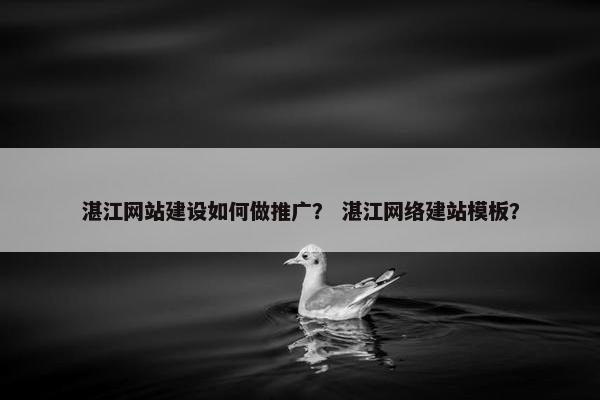 湛江网站建设如何做推广？ 湛江网络建站模板？