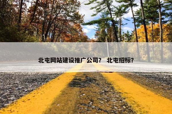 北屯网站建设推广公司？ 北屯招标？