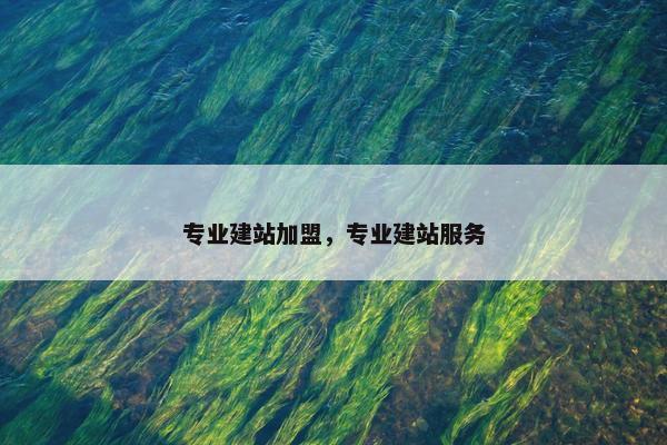 专业建站加盟，专业建站服务