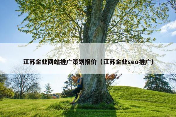 江苏企业网站推广策划报价（江苏企业seo推广）