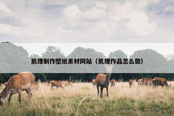 肌理制作壁纸素材网站（肌理作品怎么做）