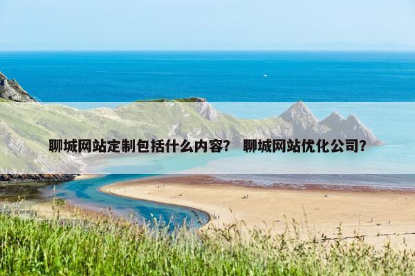 聊城网站定制包括什么内容？ 聊城网站优化公司？