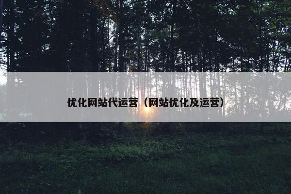 优化网站代运营（网站优化及运营）