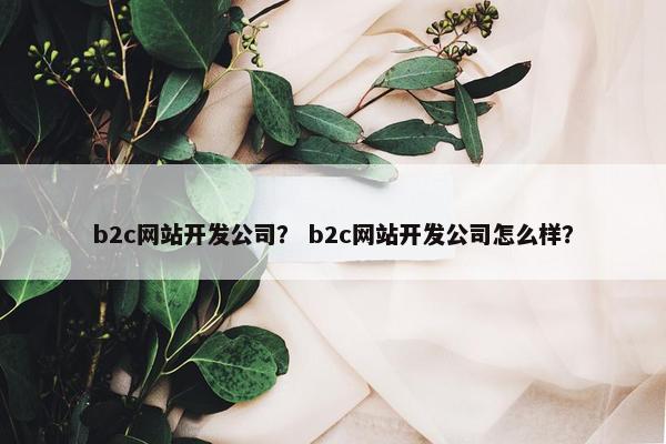 b2c网站开发公司？ b2c网站开发公司怎么样？