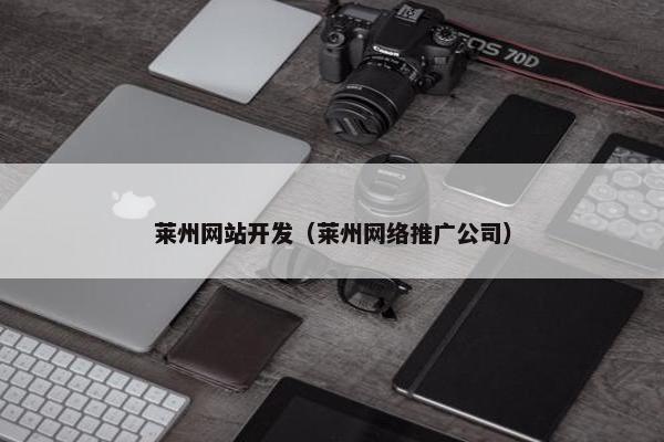 莱州网站开发（莱州网络推广公司）