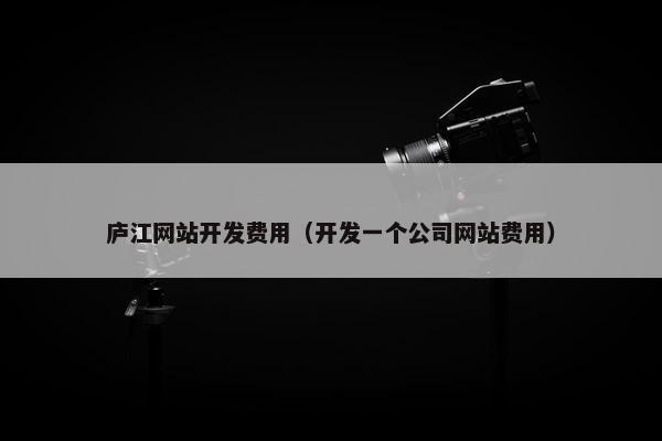 庐江网站开发费用（开发一个公司网站费用）