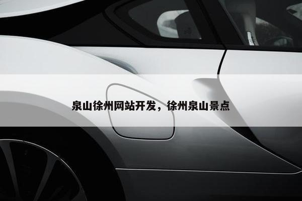 泉山徐州网站开发，徐州泉山景点