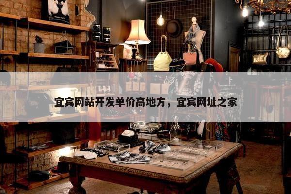 宜宾网站开发单价高地方，宜宾网址之家