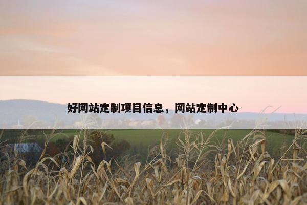 好网站定制项目信息，网站定制中心