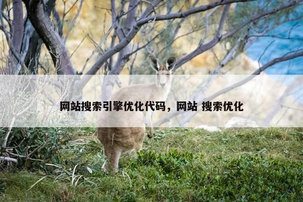网站搜索引擎优化代码，网站 搜索优化