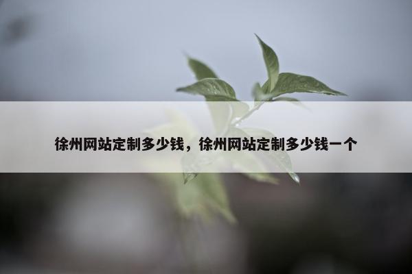 徐州网站定制多少钱，徐州网站定制多少钱一个