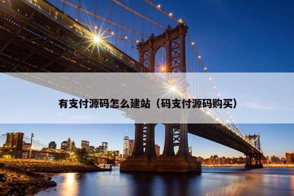 有支付源码怎么建站（码支付源码购买）