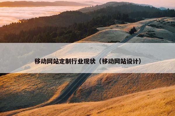 移动网站定制行业现状（移动网站设计）