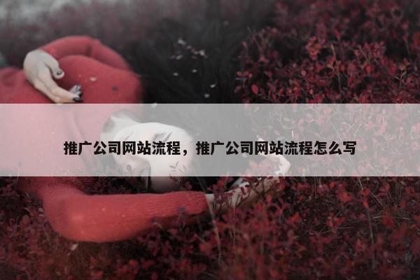 推广公司网站流程，推广公司网站流程怎么写