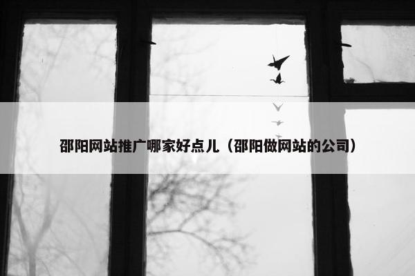 邵阳网站推广哪家好点儿（邵阳做网站的公司）