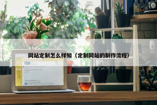 网站定制怎么样知（定制网站的制作流程）