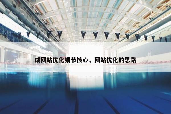 成网站优化细节核心，网站优化的思路
