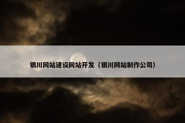 银川网站建设网站开发（银川网站制作公司）