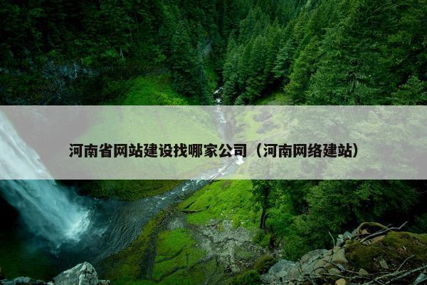 河南省网站建设找哪家公司（河南网络建站）