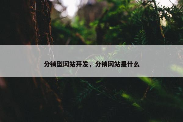 分销型网站开发，分销网站是什么
