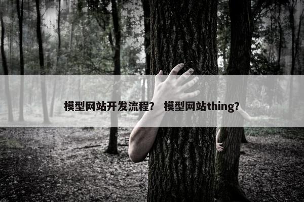 模型网站开发流程？ 模型网站thing？