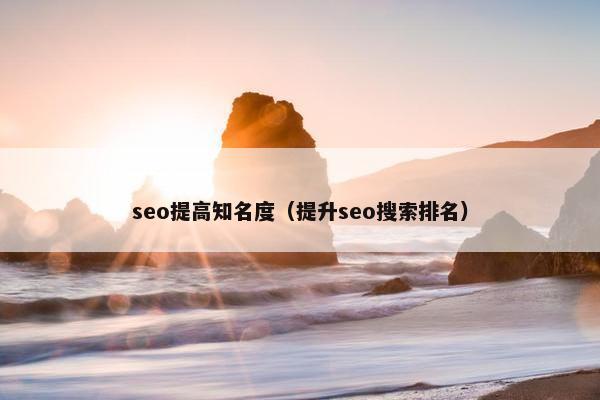 seo提高知名度（提升seo搜索排名）