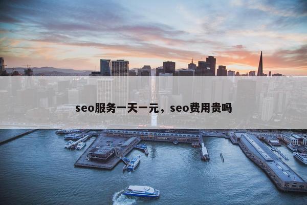 seo服务一天一元，seo费用贵吗