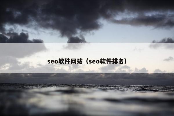seo软件网站（seo软件排名）