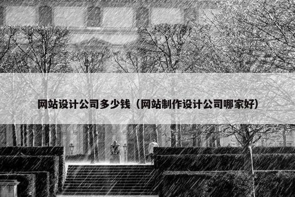 网站设计公司多少钱（网站制作设计公司哪家好）